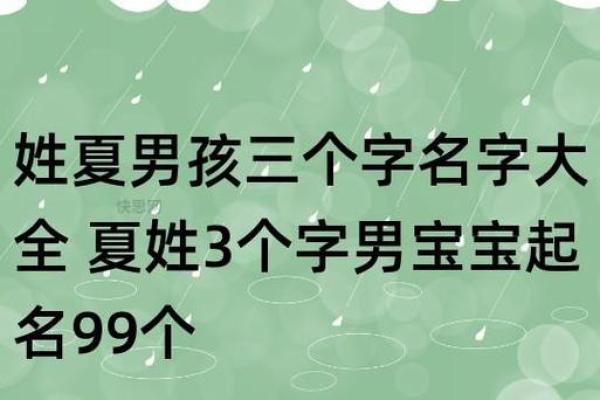 宝宝起名字软件如何助你选出与众不同的名字