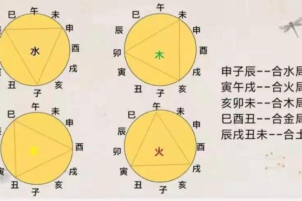 家居风水属性解析：如何判断与改善家居风水