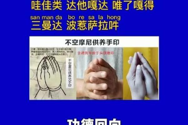 什么样的人被认为是观音命的典型特征和命运解析