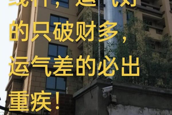 风水入门：让家居环境带来正能量和好运气