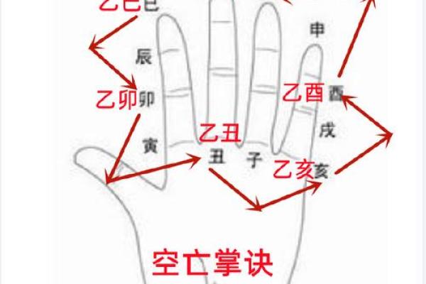 八字空亡解析与查询方法全攻略