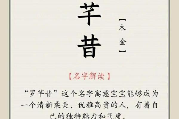 罗姓女孩名字大全：优雅与智慧并存