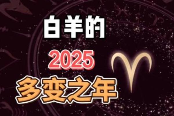 运势全面解析：本月你的星座将迎来哪些机遇与挑战