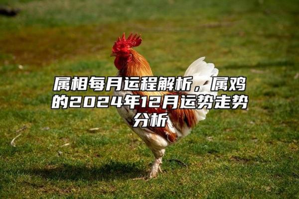 探究木命属相：影响性格与运势的关键因素