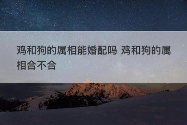 缘分解析：龙蛇组合适合婚姻生活吗