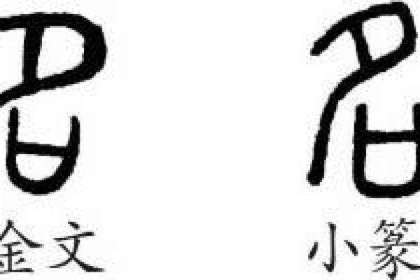 八字底字的结构与字形演变解析