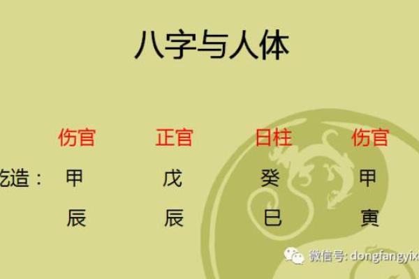 马云八字揭秘：从命理看成功背后的玄机