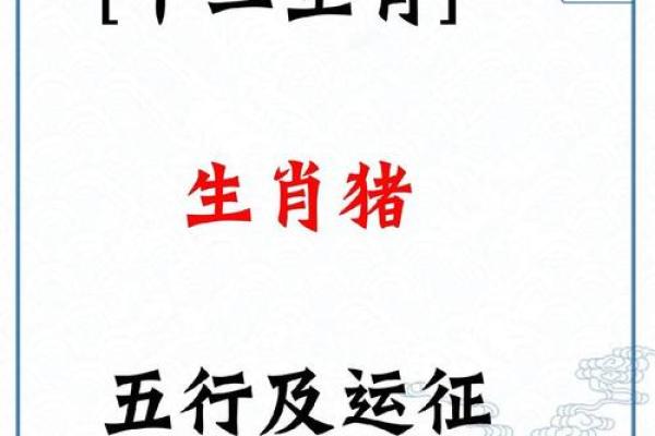 明年是属于哪个生肖年？揭秘的生肖运势