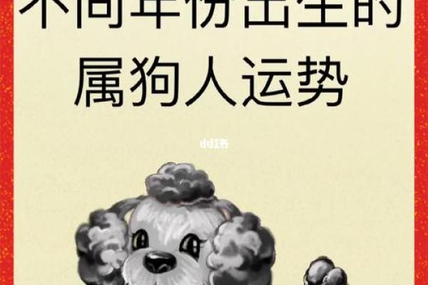 属狗人运势差的原因分析及应对策略