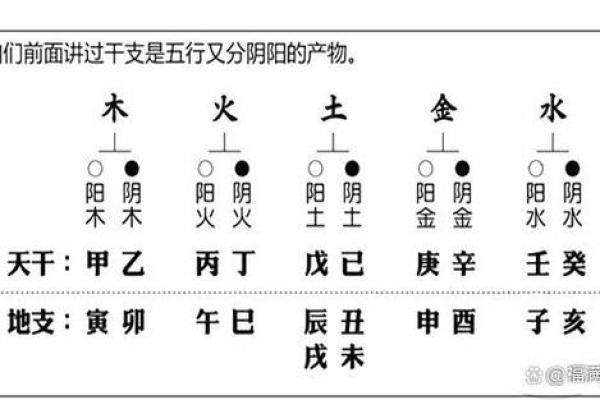 周易五行八字查询表解析与应用指南