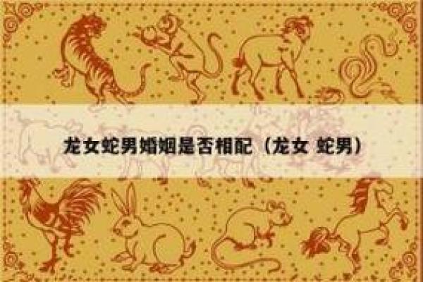 二婚八字合婚：缘分与命运的交织