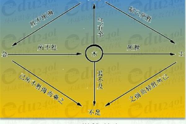 葆五行属的深层次含义与生活应用探究