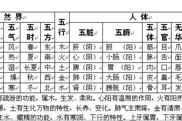 萝与五行的深层联系与影响解析