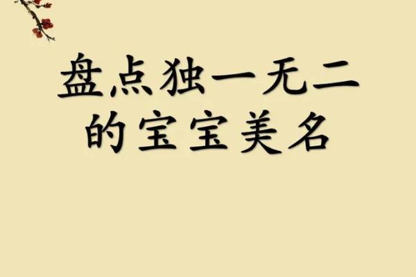 宝宝起名免费推荐，打造独一无二的名字