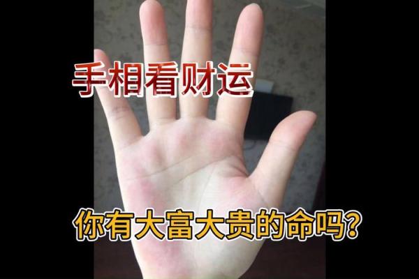 手型能看出富贵命吗？揭秘不同手型与财富运势的关系