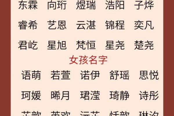 最受欢迎的万姓男孩名字解析