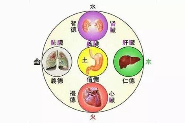 五行理论下的冰箱风水调节秘诀