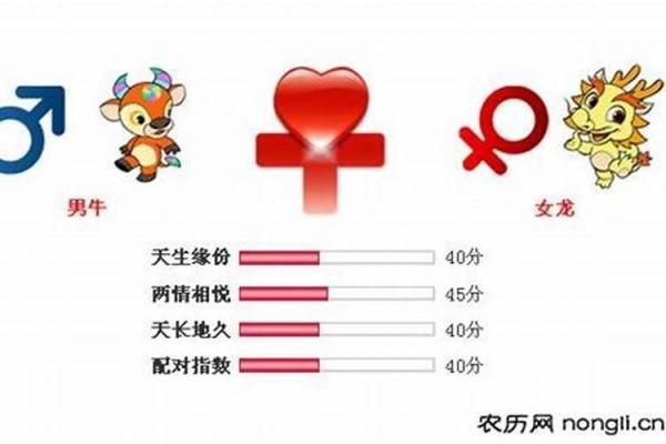 属龙的原因解析及生肖运势分析