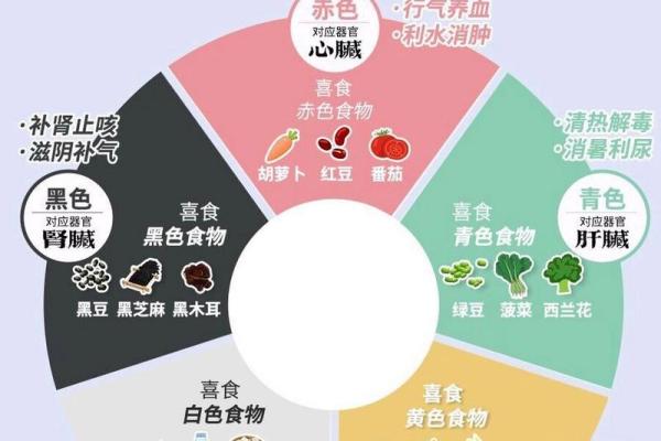 充与五行的关系与影响解析