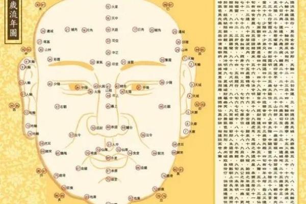 右命与传统命理学的关系详解