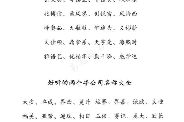 专业起名公司如何为您的企业命名