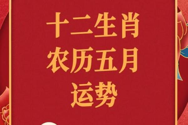 对应的生肖是什么及其相关运势解析