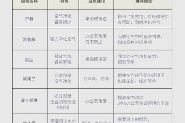 办公室摆设风水禁忌 必知事项提升职场运势