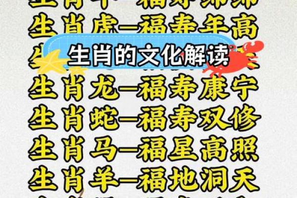 了解属相，探秘生肖背后的意义