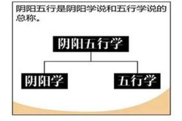 王子的五行之道：探索命运背后的自然力量