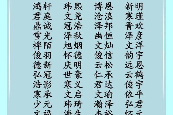 君字寓意的男孩名字推荐与命名技巧