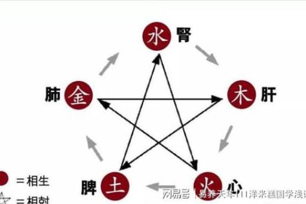 五行中木主什么与生活中的关系解析