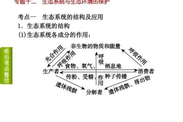 探索生物五行在生态系统中的应用