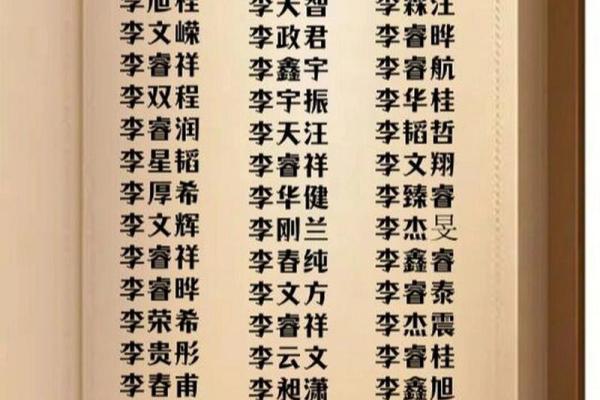 男宝宝取名指南：为孩子选择寓意丰富的名字