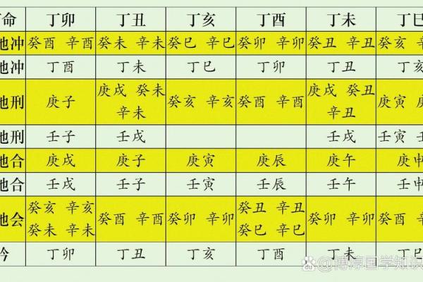 扬五行属的奥秘解析与现代生活应用