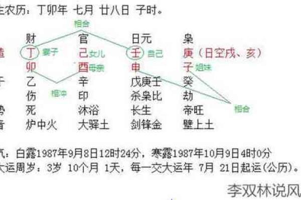 八字中工作星的影响与职业发展分析