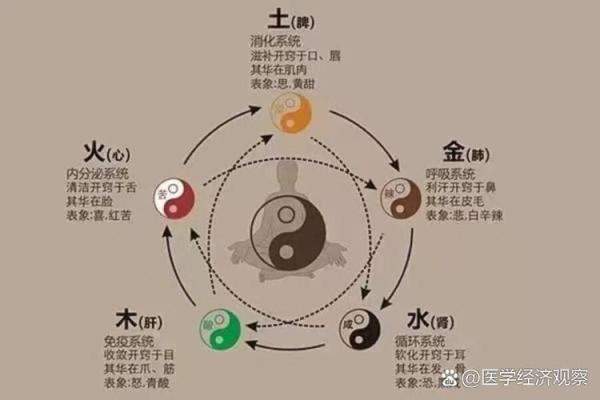 五官与五行的深层关联探究