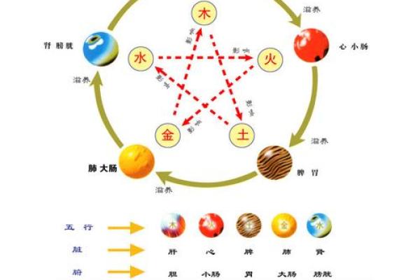 如何根据五行调整冰箱布局提升家运