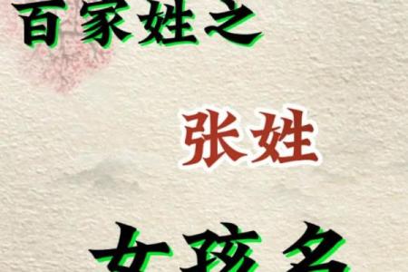 张姓宝宝起名大全：创意与传统完美结合