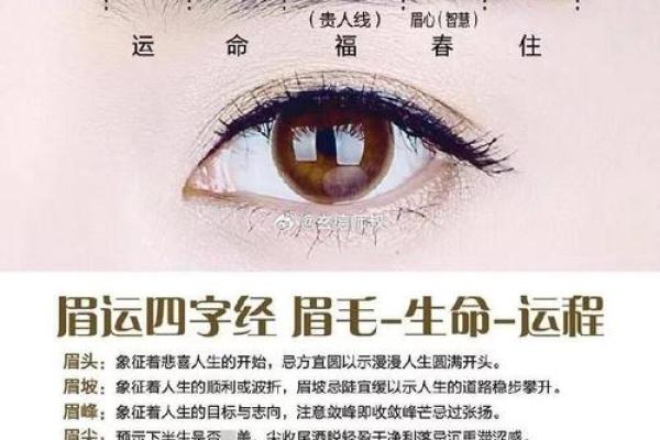 眉毛与风水的关系解析：如何通过眉形调整运势