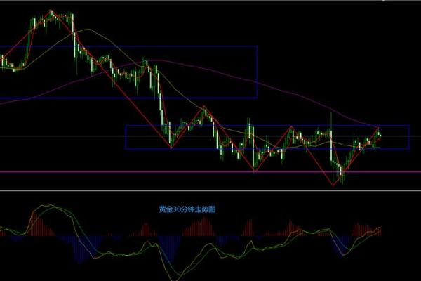 八字财运分析技巧揭示如何通过命理预测财富趋势