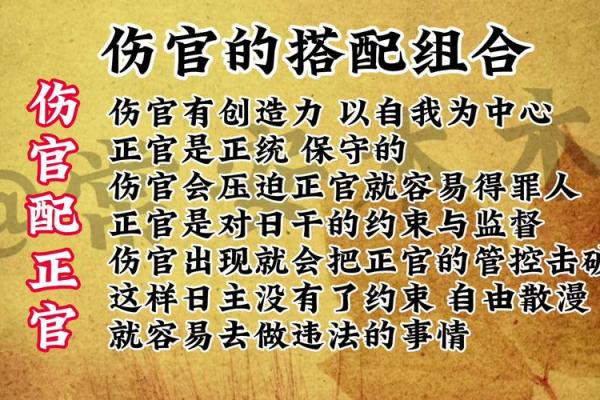 伤官命格与事业成功的关系