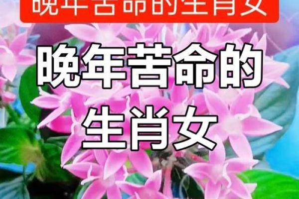 羊女本命年，如何获得更多的财富机会