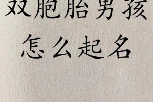 创意男孩双胞胎名字，让他们的名字独一无二