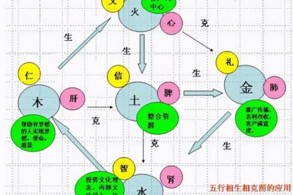 出生的人五行属性解析，看看你属于哪一类！