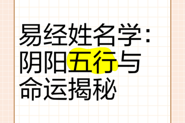 出生的人五行属什么？揭开命运的秘密