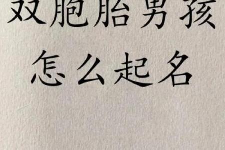 创意男孩双胞胎名字，让他们的名字独一无二